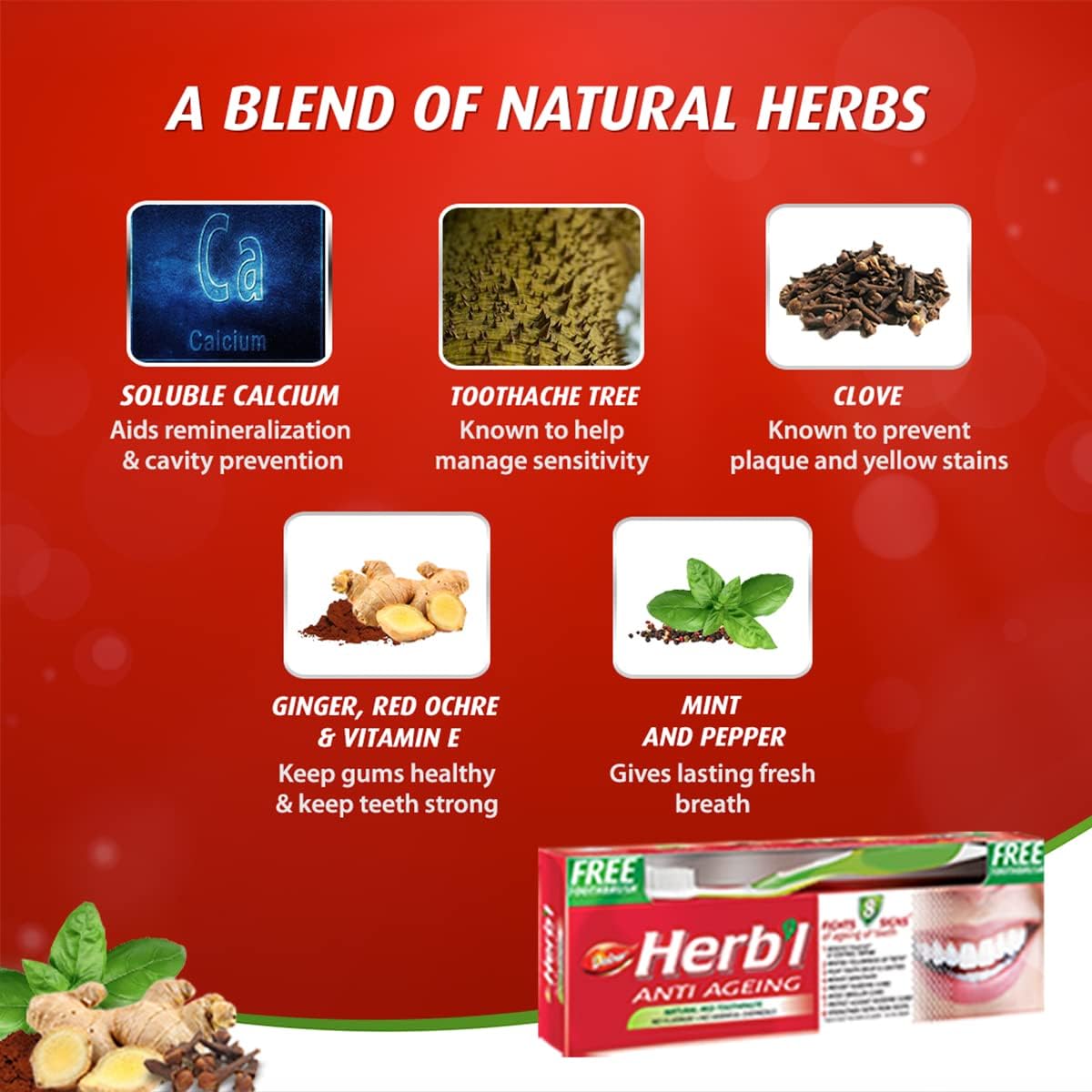 Dabur Herbal Anti-Ageing Natural Red Toothpaste (150g + Toothbrush)