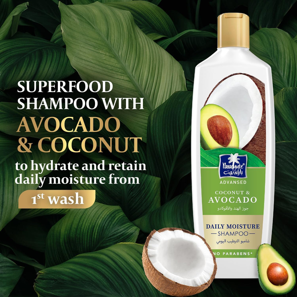 Parachute Advanced Coconut & Avocado Daily Moisture Shampoo, 340 ml