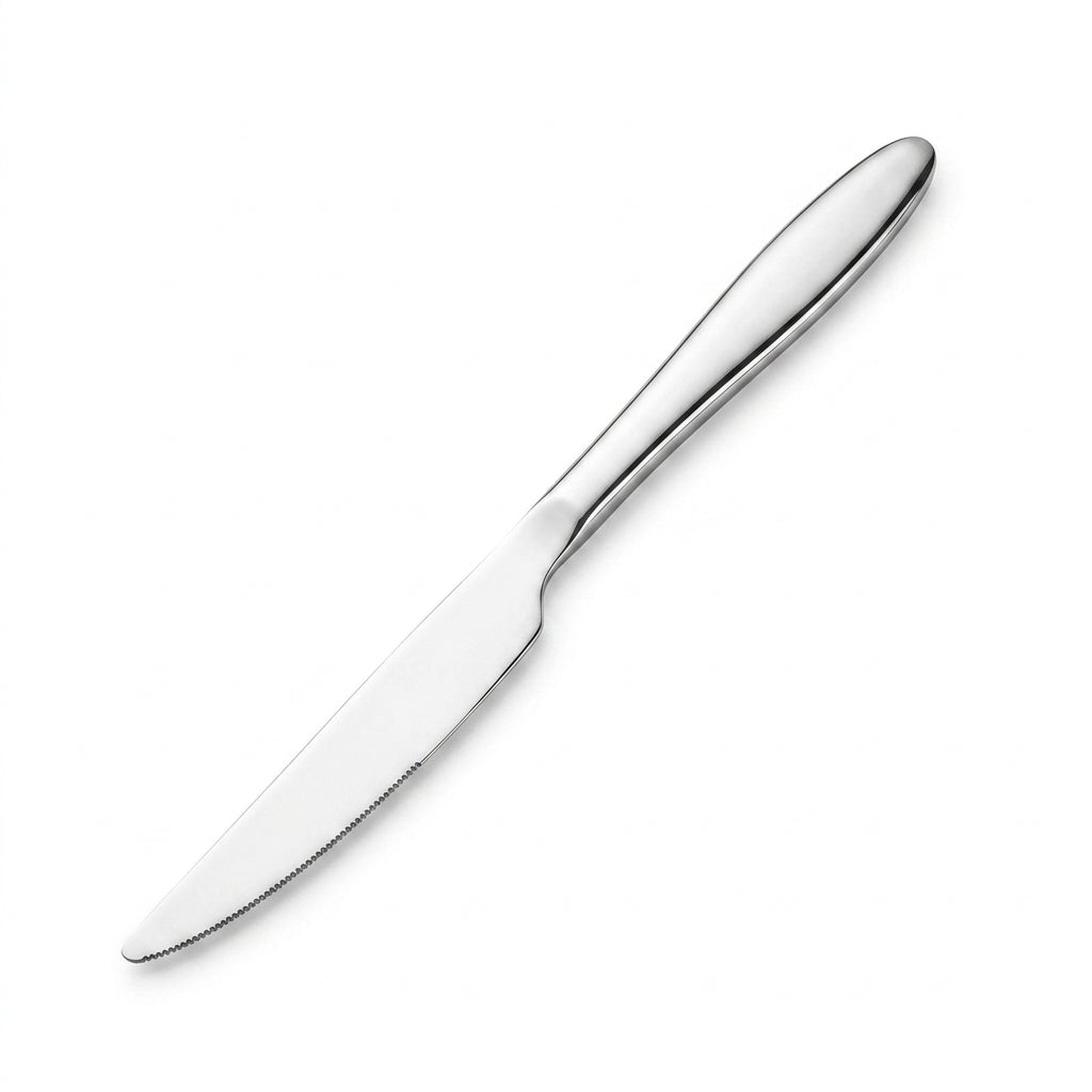Stainless Steel Knife Set of 6 - 23cm Silver