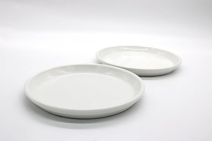 AKDC Ceramic Round Flat Plate 9inch set of 2 White - Al Kabayel Discount CentreAKDC Ceramic Round Flat Plate 9inch set of 2 WhitePlatesAKDCAl Kabayel Discount Centre