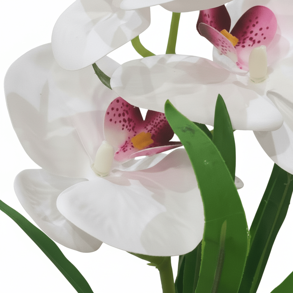Artificial White Orchid Plant in Chalk Speckled Pot - 35cm - Al Kabayel Discount CentreArtificial White Orchid Plant in Chalk Speckled Pot - 35cmArtificial FloraAKDCAl Kabayel Discount Centre