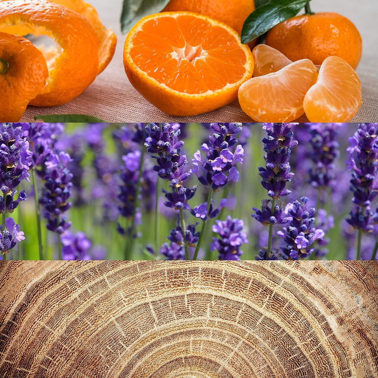 Calvin Klein Obsession For Men EDT - 125ml - Al Kabayel Discount CentreCalvin Klein Obsession For Men EDT - 125mlPerfumesCALVIN KLEINAl Kabayel Discount Centre