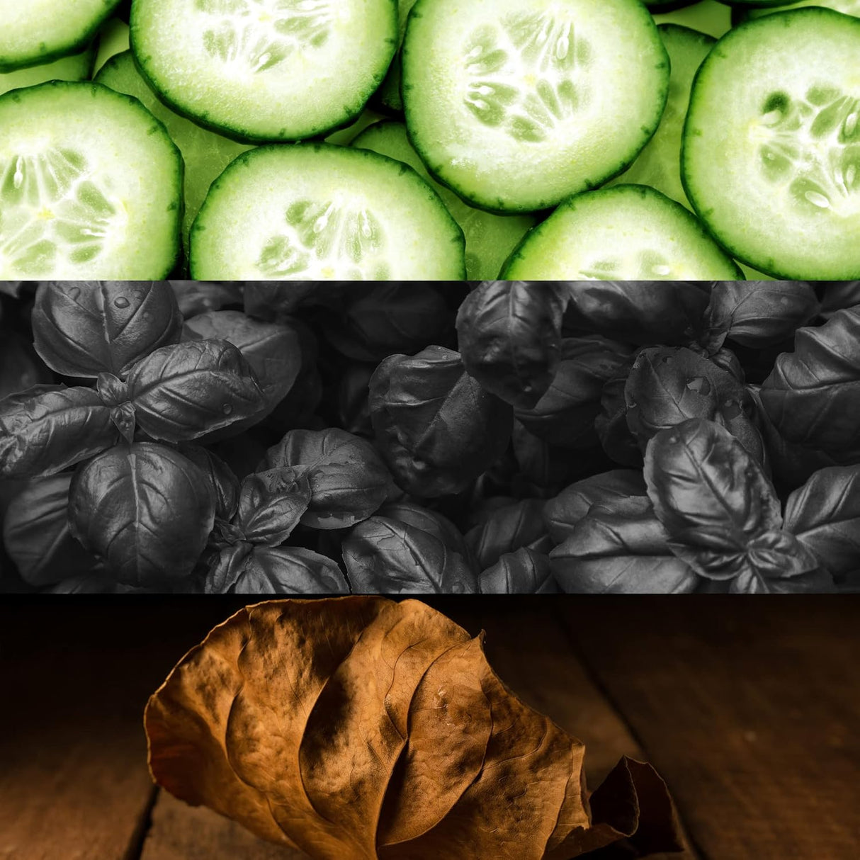 Calvin Klein One Shock For Him Perfume EDT - 200ml - Al Kabayel Discount CentreCalvin Klein One Shock For Him Perfume EDT - 200mlPerfumesCALVIN KLEINAl Kabayel Discount Centre