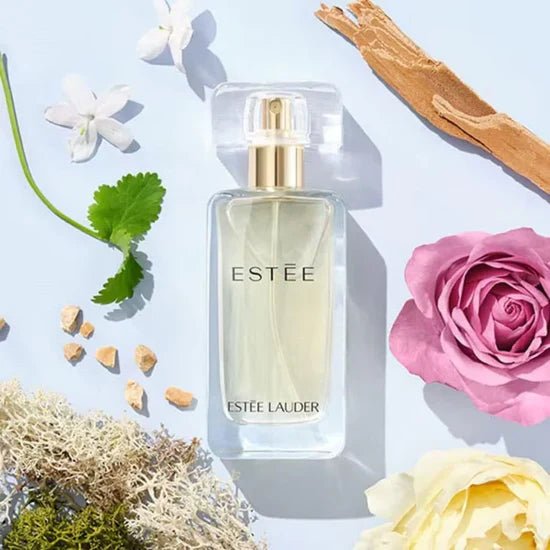 ESTEE LAUDER SEDP 50ML - Al Kabayel Discount CentreESTEE LAUDER SEDP 50MLPerfumesESTEE LAUDERAl Kabayel Discount Centre