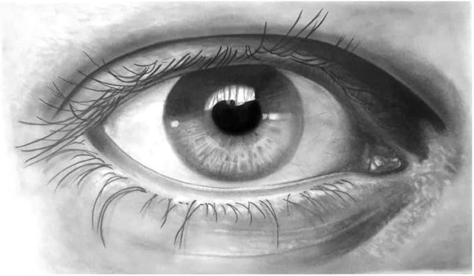 Faber - Castell Gold Faber Graphite Pencil B For Writing, Drawing And Sketching Pack Of 12 (112501) - Al Kabayel Discount CentreFaber - Castell Gold Faber Graphite Pencil B For Writing, Drawing And Sketching Pack Of 12 (112501)Pens, Pencils & MarkersFABER - CASTELLAl Kabayel Discount Centre