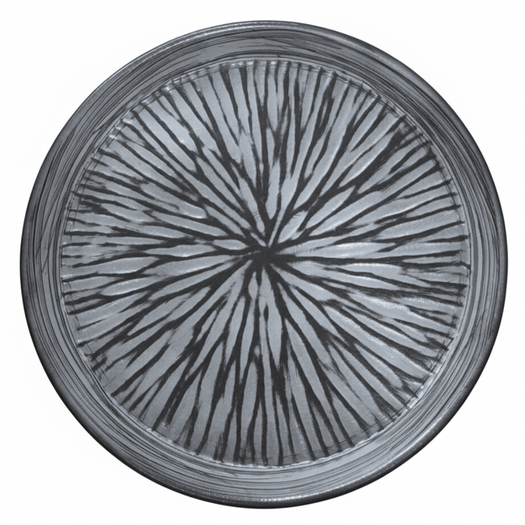 Grey & Black Elegant Ceramic Round Plate — 23cm | Starburst Radial Design - Al Kabayel Discount CentreGrey & Black Elegant Ceramic Round Plate — 23cm | Starburst Radial DesignPlatesAKDCAl Kabayel Discount Centre