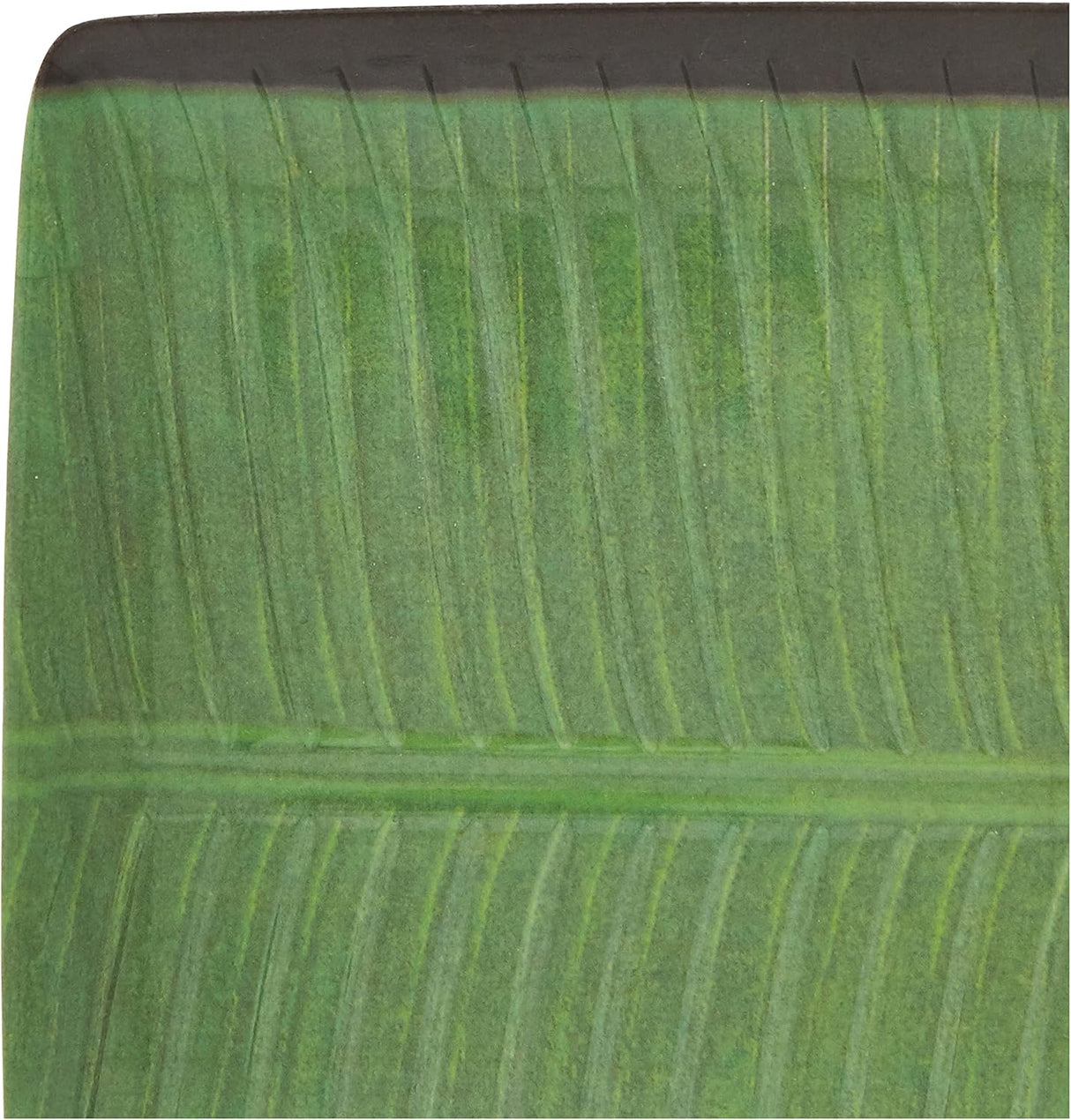 Harmony J136 Melamine Horeca Banana Leaf Medium Plate Green - Al Kabayel Dicount CenterHarmony J136 Melamine Horeca Banana Leaf Medium Plate GreenplatesharmonyAl Kabayel Dicount Center