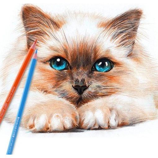 Hong Wei 24pcs Color Pencils, Advanced Color Hexagon Pencil, HW - CP - 2401GA - Al Kabayel Discount CentreHong Wei 24pcs Color Pencils, Advanced Color Hexagon Pencil, HW - CP - 2401GAColor PencilsHONG WEIAl Kabayel Discount Centre