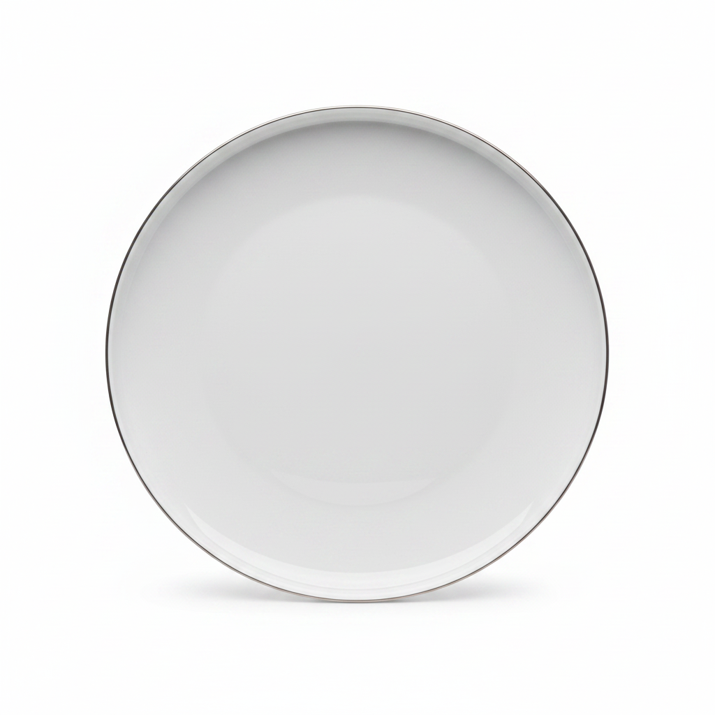 Decopor White Ceramic Dinner Plate – 10.5 Inch