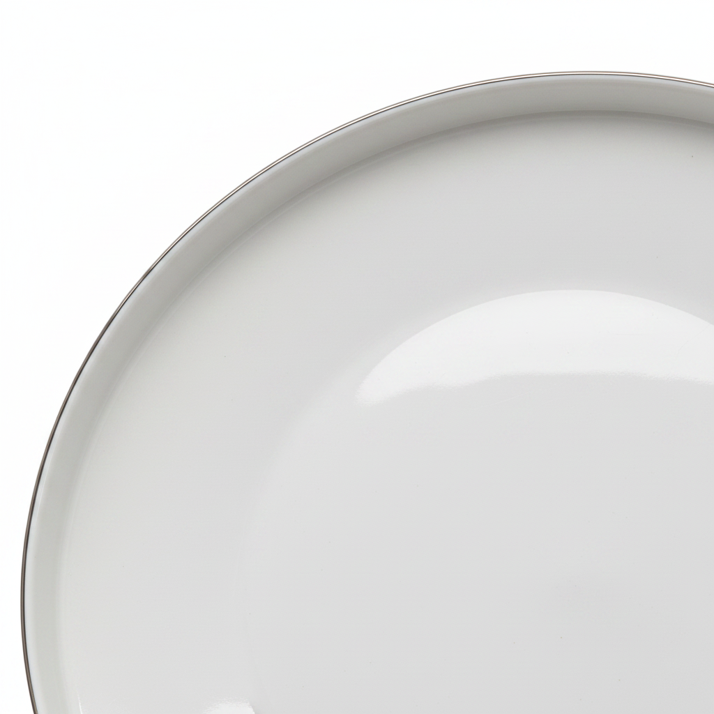 Decopor White Ceramic Dinner Plate – 10.5 Inch