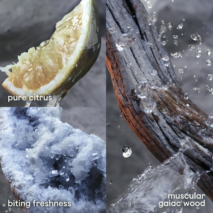 INVICTUS BY PACO RABANNE EDT 100ML - Al Kabayel Discount CentreINVICTUS BY PACO RABANNE EDT 100MLPerfumesPACO RABANNEAl Kabayel Discount Centre