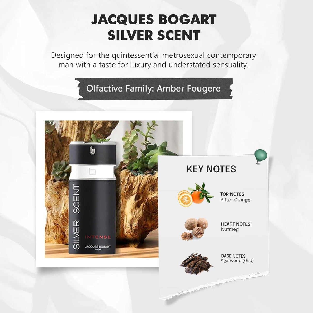 Jacques Bogart Silver Scent Intense Eau de Toilette for Men 100ml – Strong Spicy Amber Signature Fragrance - Al Kabayel Discount CentreJacques Bogart Silver Scent Intense Eau de Toilette for Men 100ml – Strong Spicy Amber Signature FragrancePerfumesJACQUESAl Kabayel Discount Centre