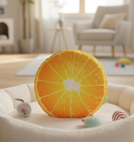 Midepet Funny Cat Toy Citrus Design - Al Kabayel Discount CentreMidepet Funny Cat Toy Citrus DesignPet SuppliesMIDEPETAl Kabayel Discount Centre