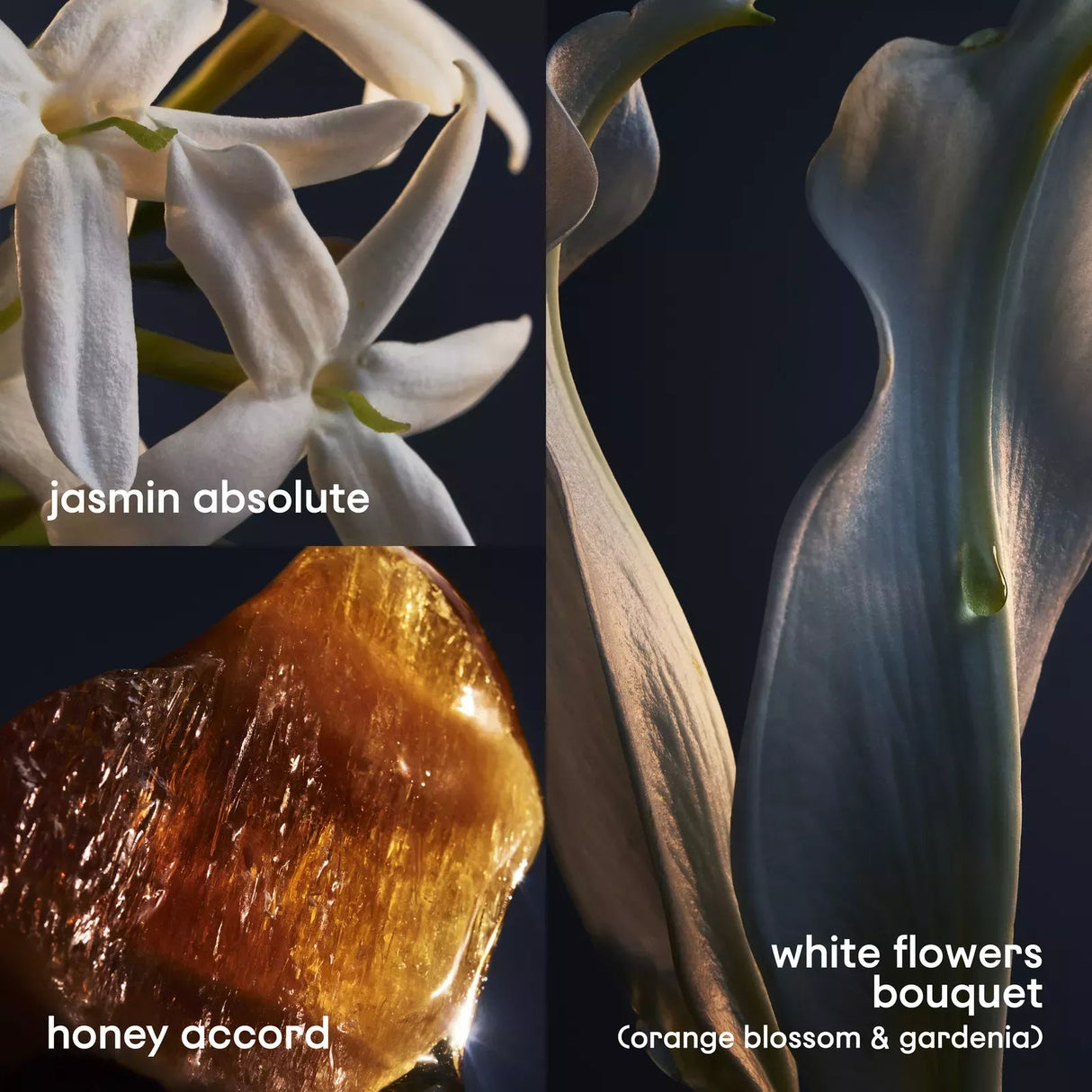 PACO RABANNE 80ML Lady MILLION - Al Kabayel Discount CentrePACO RABANNE 80ML Lady MILLIONPerfumesPACO RABANNEAl Kabayel Discount Centre