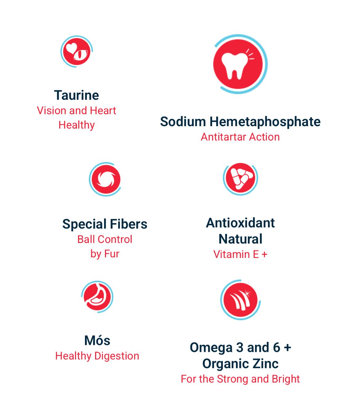 Pet Palatto Premium Special Cat Dry Food Chicken Flavor 1KG, Filhotes Kitten - Al Kabayel Discount CentrePet Palatto Premium Special Cat Dry Food Chicken Flavor 1KG, Filhotes KittenPet SuppliesPET PALATTOAl Kabayel Discount Centre