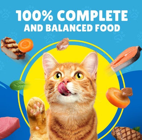 Purina Friskies Salmon, Tuna & Vegetables in Gravy Cat Wet Food 400g - Al Kabayel Discount CentrePurina Friskies Salmon, Tuna & Vegetables in Gravy Cat Wet Food 400gPet SuppliesPURINA FRISKIESAl Kabayel Discount Centre
