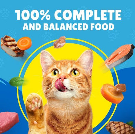 Purina Friskies Salmon, Tuna & Vegetables in Gravy Cat Wet Food 400g - Al Kabayel Discount CentrePurina Friskies Salmon, Tuna & Vegetables in Gravy Cat Wet Food 400gPet SuppliesPURINA FRISKIESAl Kabayel Discount Centre