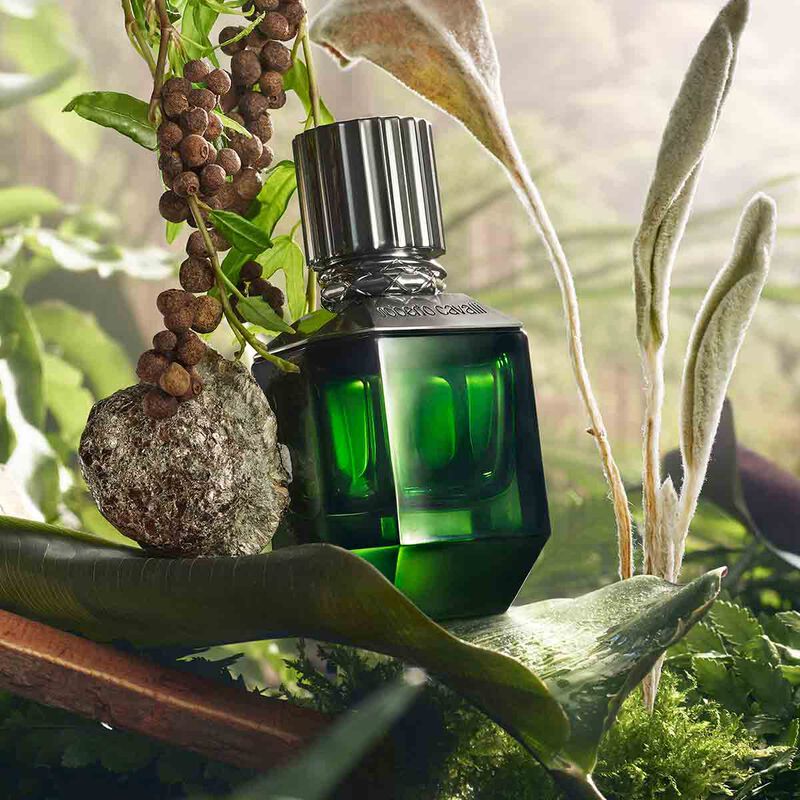 Roberto Cavalli Paradise Found EDT For Men - 75ml - Al Kabayel Discount CentreRoberto Cavalli Paradise Found EDT For Men - 75mlPerfumesROBERTO CAVALLIAl Kabayel Discount Centre