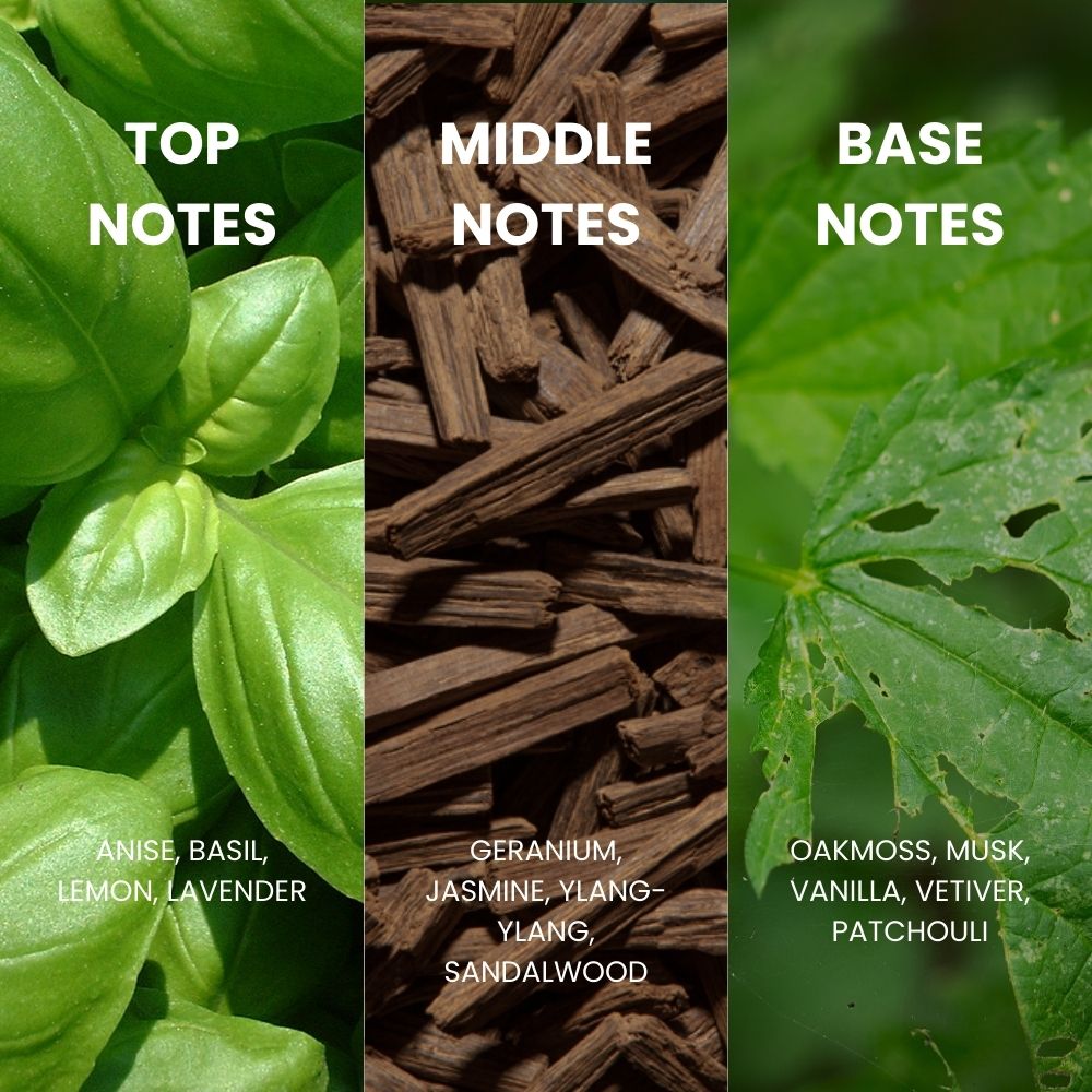 Royal Mirage Club 77 EDT - 100ml - Al Kabayel Discount CentreRoyal Mirage Club 77 EDT - 100mlPerfumesROYAL MIRAGEAl Kabayel Discount Centre