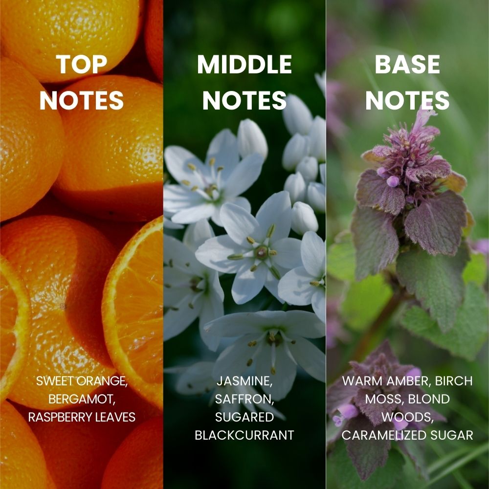 Royal Mirage Passion EDP - 100ml - Al Kabayel Discount CentreRoyal Mirage Passion EDP - 100mlPerfumesROYAL MIRAGEAl Kabayel Discount Centre