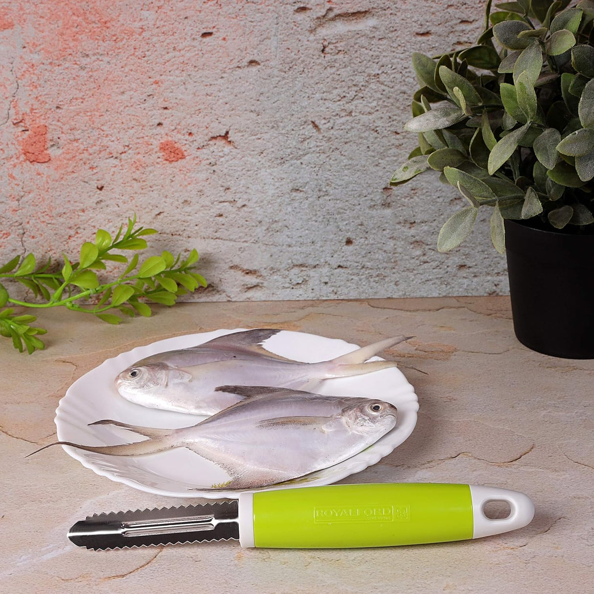 ROYALFORD Fish Peeler, Stainless Steel + ABS, Green - RF6304 - Al Kabayel Discount CentreROYALFORD Fish Peeler, Stainless Steel + ABS, Green - RF6304Cookware AccessoriesROYALFORDAl Kabayel Discount Centre