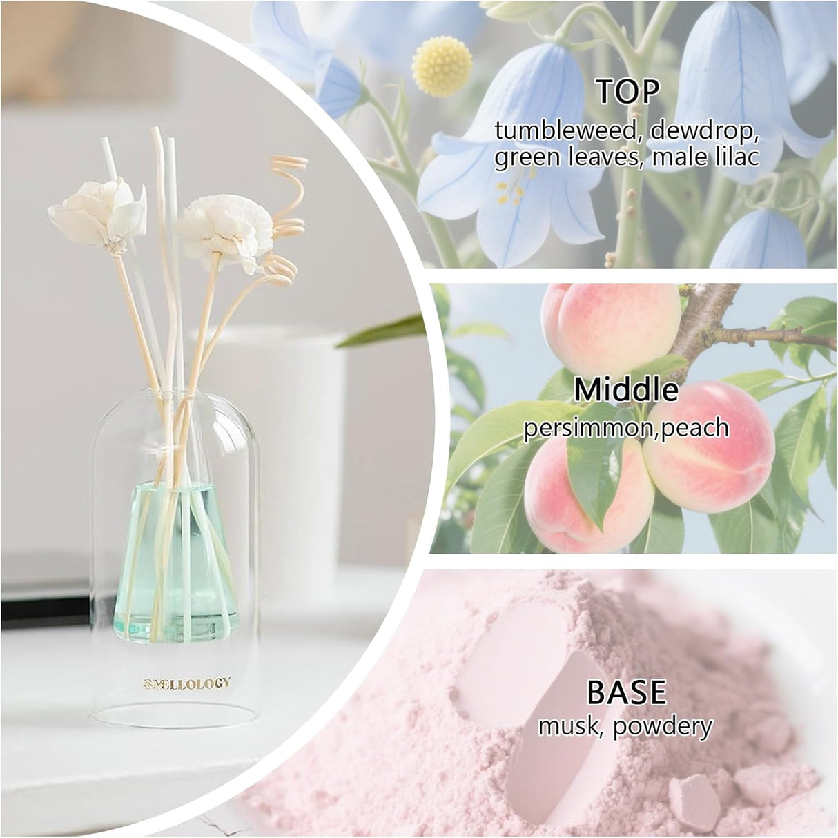 SMELLOLOGY Tranquil Flower Flowers Home Diffuser - Tea Escape 120ml - Al Kabayel Discount CentreSMELLOLOGY Tranquil Flower Flowers Home Diffuser - Tea Escape 120mlHome FragrancesSMELLOLOGYAl Kabayel Discount Centre