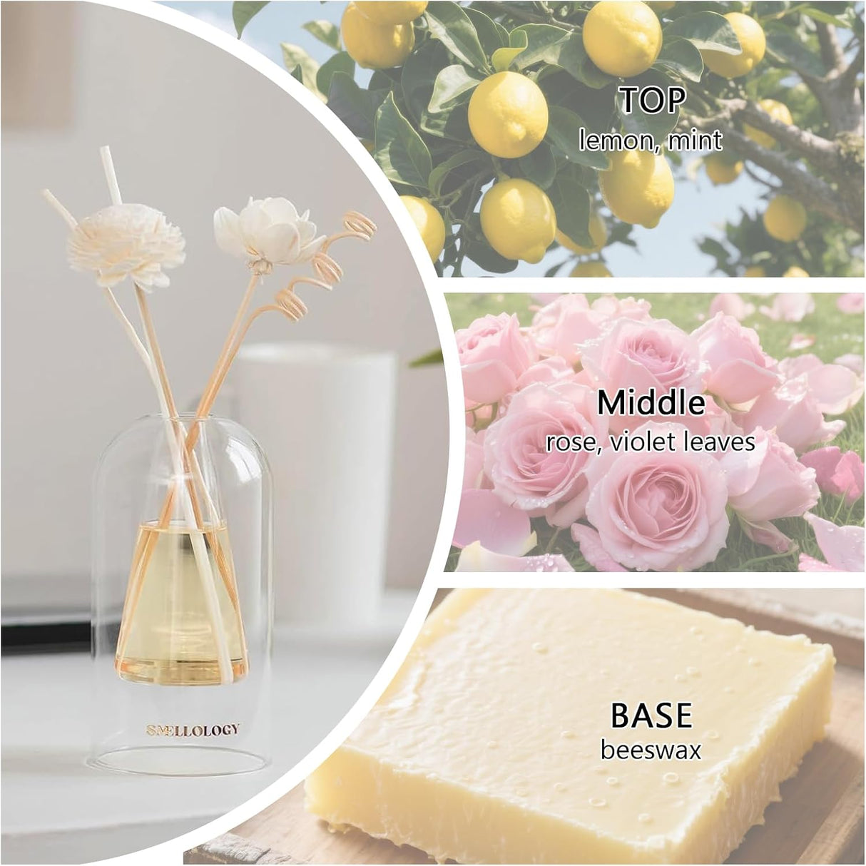 SMELLOLOGY Tranquil Flower Flowers Home Diffuser - Warm Fireplace 120ml - Al Kabayel Discount CentreSMELLOLOGY Tranquil Flower Flowers Home Diffuser - Warm Fireplace 120mlHome FragrancesSMELLOLOGYAl Kabayel Discount Centre