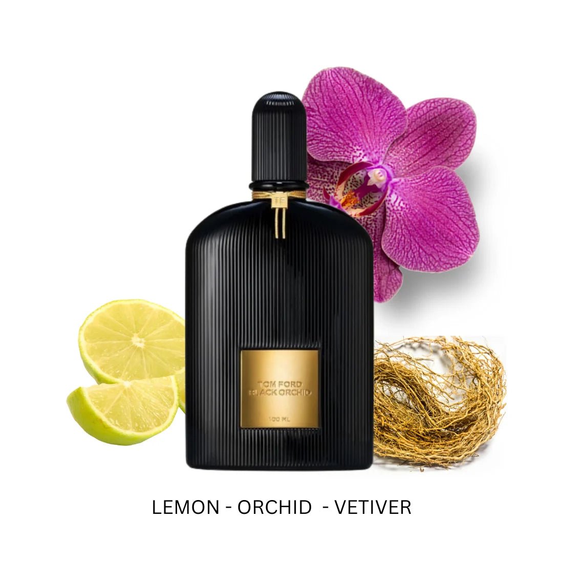 Tom Ford Black Orchid for Women EDP - 100ml - Al Kabayel Discount CentreTom Ford Black Orchid for Women EDP - 100mlPerfumesTOM FORDAl Kabayel Discount Centre