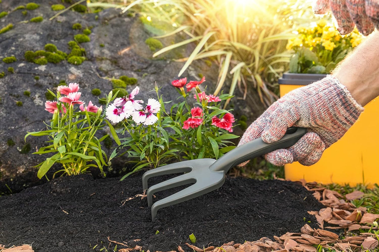 Tramontina 3 Teeth Plastic Cultivator - Al Kabayel Discount CentreTramontina 3 Teeth Plastic CultivatorGardening ToolsTRAMONTINAAl Kabayel Discount Centre