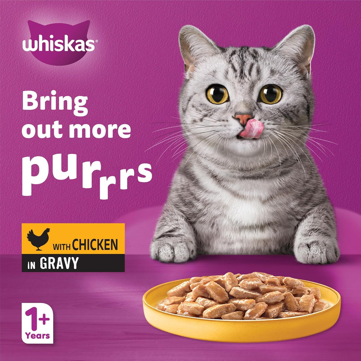 Whiskas Chicken in Gravy Can Cat Food, 400g, 1+ Years Adult Cats, Whiskas Cat Food in a Can, Complete & Balanced Nutrition - Al Kabayel Discount CentreWhiskas Chicken in Gravy Can Cat Food, 400g, 1+ Years Adult Cats, Whiskas Cat Food in a Can, Complete & Balanced NutritionPet SuppliesWHISKASAl Kabayel Discount Centre