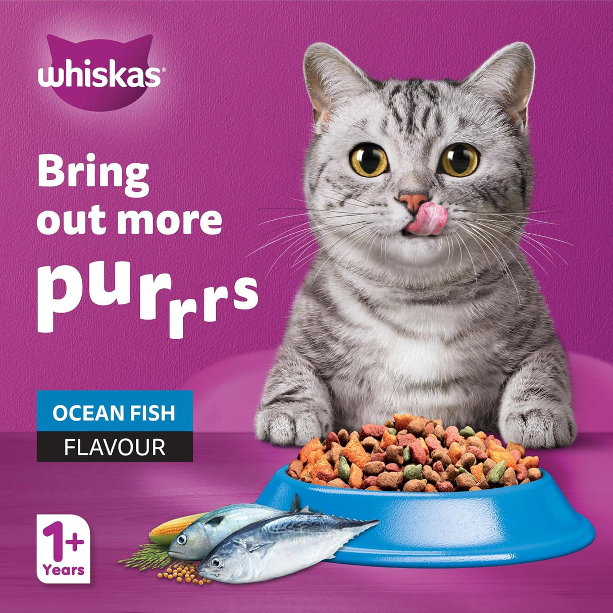 Whiskas Ocean Fish Dry Cat Food, Bag of 480g, for Adult Cats 1+ Years, Complete Nutrition and Great Taste Cat Dry Food - Al Kabayel Discount CentreWhiskas Ocean Fish Dry Cat Food, Bag of 480g, for Adult Cats 1+ Years, Complete Nutrition and Great Taste Cat Dry FoodPet SuppliesWHISKASAl Kabayel Discount Centre