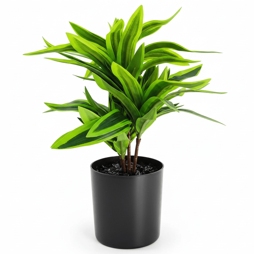 Zeem Premium Artificial Green Indoor Plant with Black Plastic Pot – 29 × 11 cm Realistic Decorative Tabletop & Office Home Décor - Al Kabayel Discount CentreZeem Premium Artificial Green Indoor Plant with Black Plastic Pot – 29 × 11 cm Realistic Decorative Tabletop & Office Home DécorArtificial FloraZEEMAl Kabayel Discount Centre