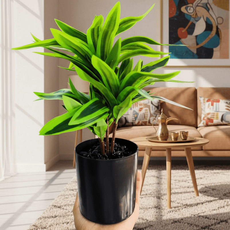 Zeem Premium Artificial Green Indoor Plant with Black Plastic Pot – 29 × 11 cm Realistic Decorative Tabletop & Office Home Décor - Al Kabayel Discount CentreZeem Premium Artificial Green Indoor Plant with Black Plastic Pot – 29 × 11 cm Realistic Decorative Tabletop & Office Home DécorArtificial FloraZEEMAl Kabayel Discount Centre
