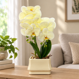 Artificial Orchid Flower Plant with Ceramic Pot Cream - 40cm