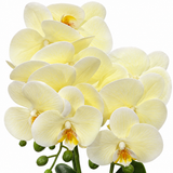 Artificial Orchid Flower Plant with Ceramic Pot Cream - 40cm