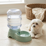 Plastic Pet Water Feeder with Clear Reservoir Sage Green - 30×30cm
