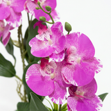 Artificial Purple Orchid Flower Plant in Ceramic Pot – 30cm