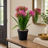 Zeem Artificial Flower Plant in Black Plastic Pot - 28cm
