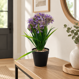 Zeem Artificial Flower Plant in Black Plastic Pot - 28cm