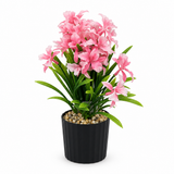 Zeem Artificial Flower Plant in Black Plastic Pot - 28cm