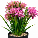 Zeem Artificial Flower Plant in Black Plastic Pot - 28cm
