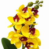 Artificial Orchid Flower Plant with Ceramic Pot Yellow – 40cm