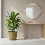 Taupe Plastic Rattan Flower Pot - 17×20cm