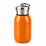 Stainless Steel Water Bottle - 250ml