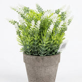 Zeem Green & White Artificial Flower Pot with Chalk Pot - 20cm