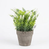 Zeem Green & White Artificial Flower Pot with Chalk Pot - 20cm