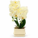 Artificial Orchid Flower Plant with Ceramic Pot Cream - 40cm