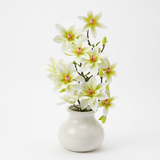 Artificial Orchid Plant in Ceramic Vase White & Lime Green - 40cm