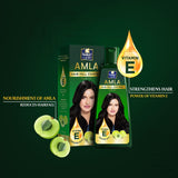Parachute Hair Fall Control Amla Hair Oil 300ml