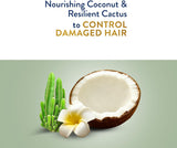 Parachute Gold Damage Repair Hair Cream,Coconut & Cactus, 2 × 140 ml